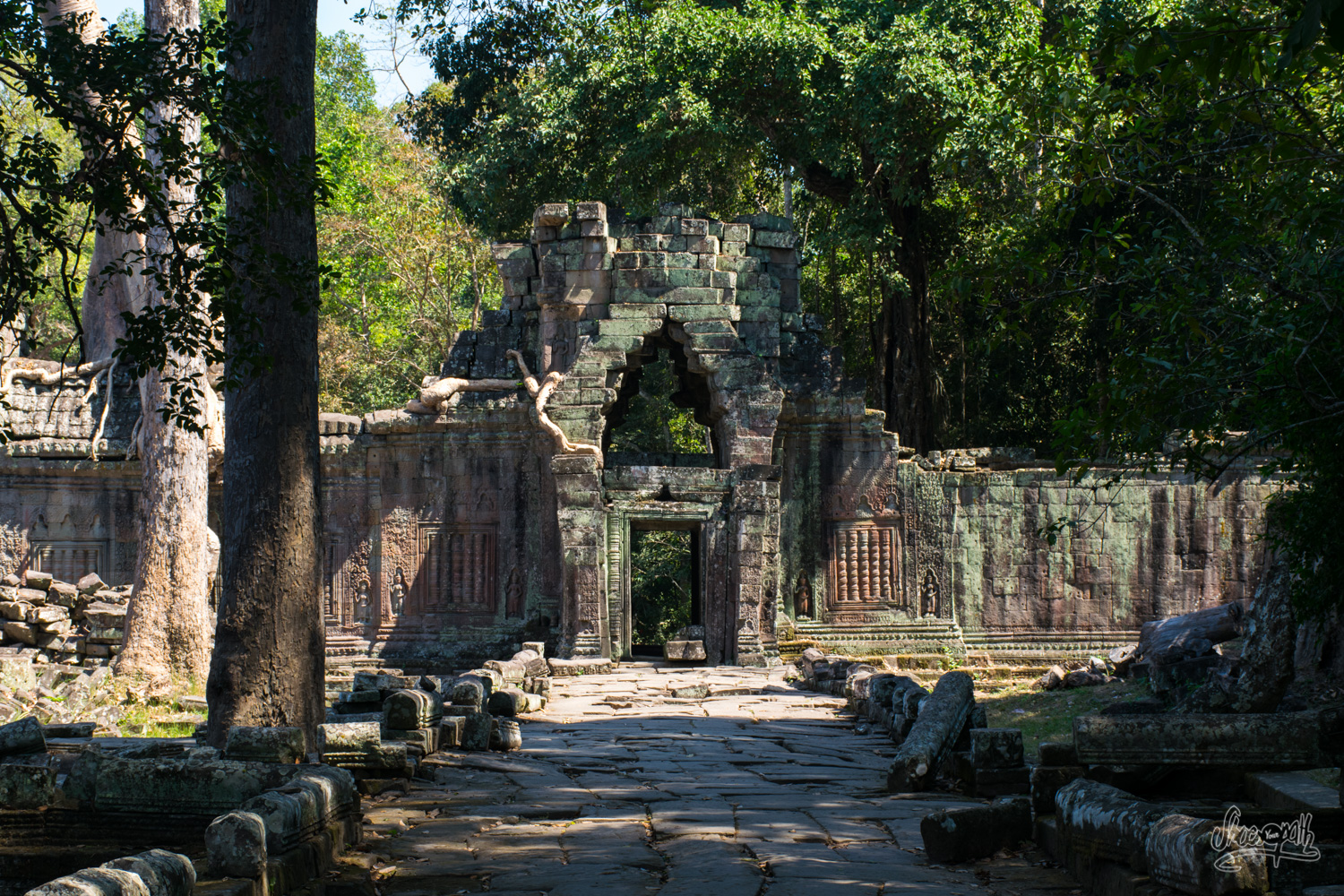 Dans la cour du temple de Preah Khan