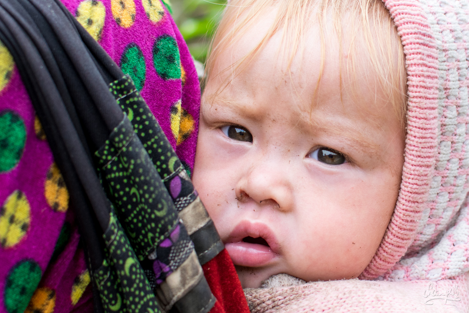 Un petit Hmong albinos sur le dos de sa mère