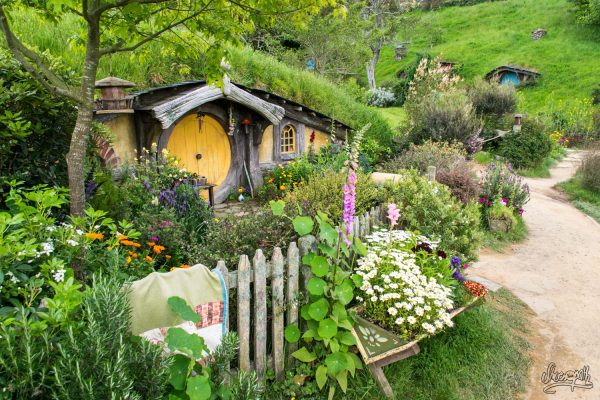 Joli Trou Fleuri à Hobbiton, Le Village Hobbit