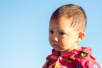 Petit Bambin Birman