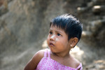 Petite Birmane Aux Cheveux Courts
