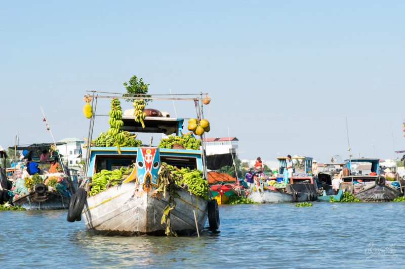 Vietnam - Chau Doc and Can Thò, the north of the Mekong delta ...