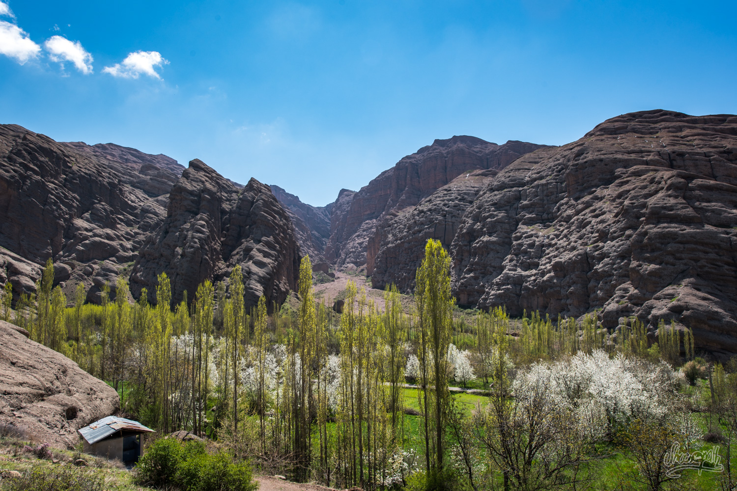 Dans la région des canyons d'Alamut