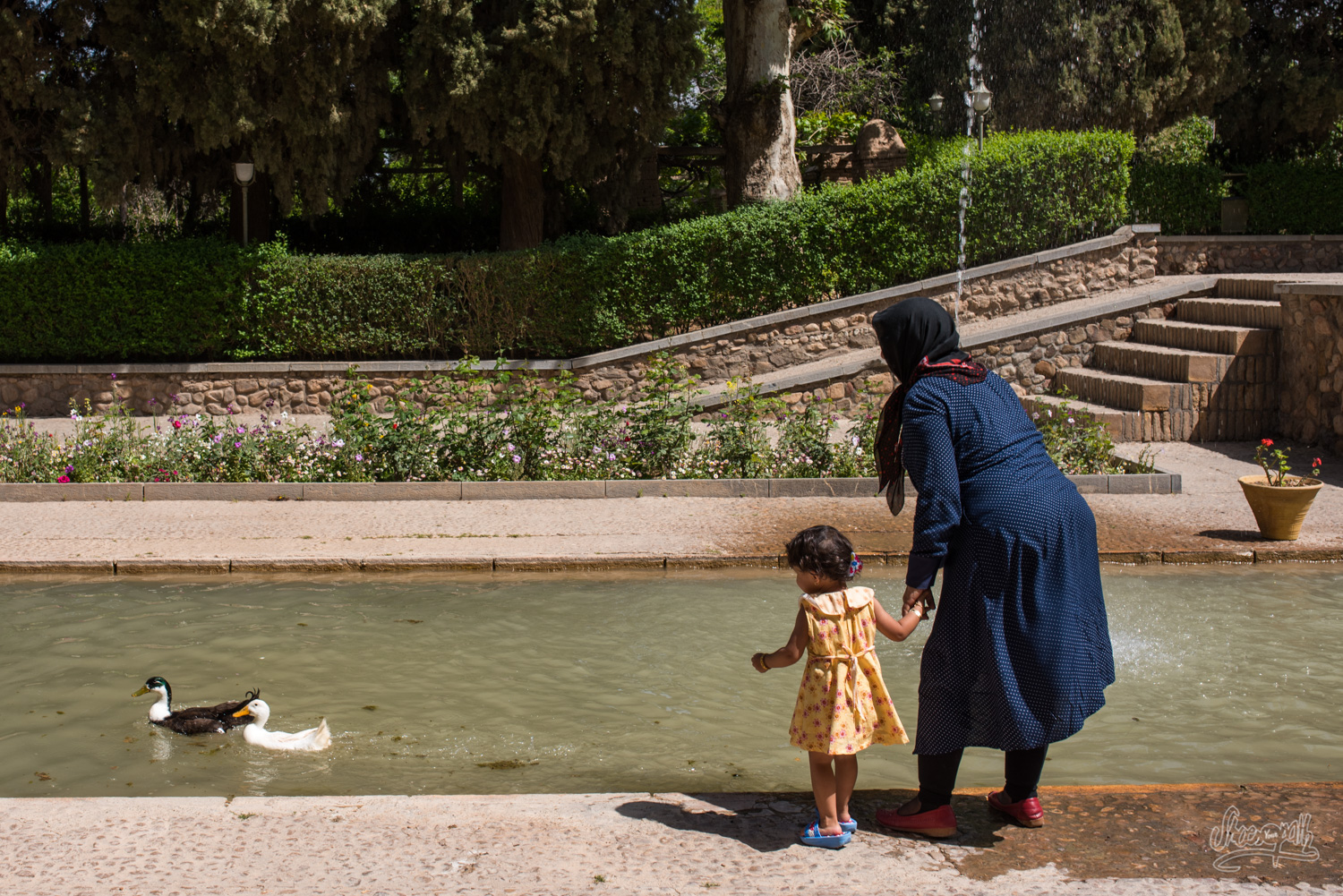 Des iraniens se relaxent dans le jardin Shahzadeh