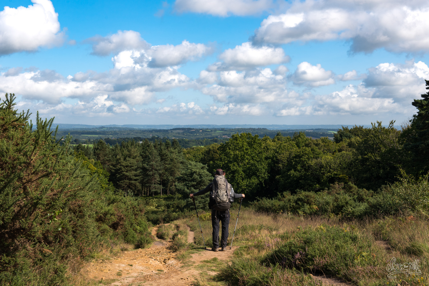 Looking over Ashdown Forest