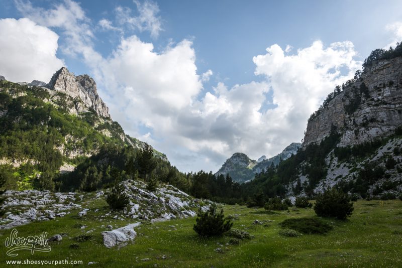 Sur Le Grand Plateau Herbeux Entre Vusanje Et Theth - Peaks Of The Balkans