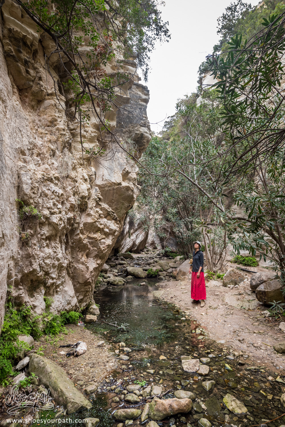 Avakas Gorge, Cyprus