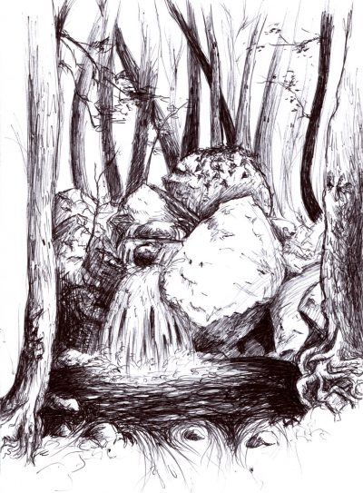 Aux alentours des Kalidonian waterfalls, la forêt dessinée par Mariette