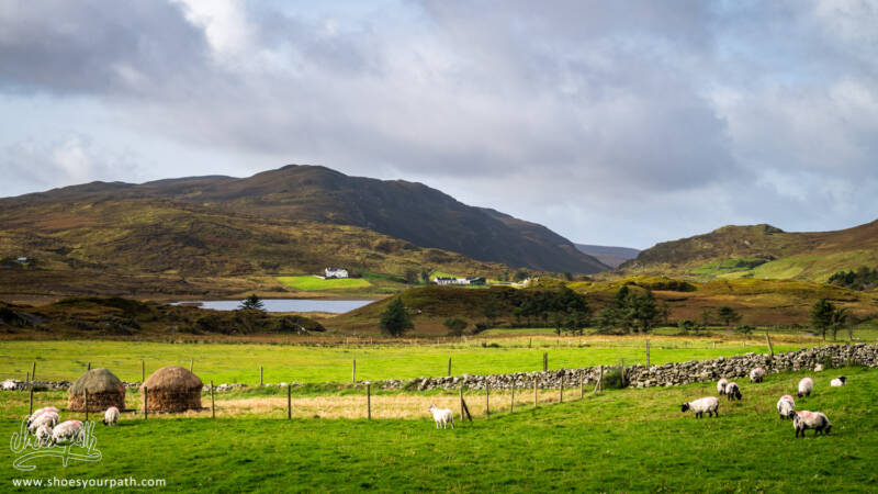 Sur la route du retour vers Ardara - Donegal, Irlande
