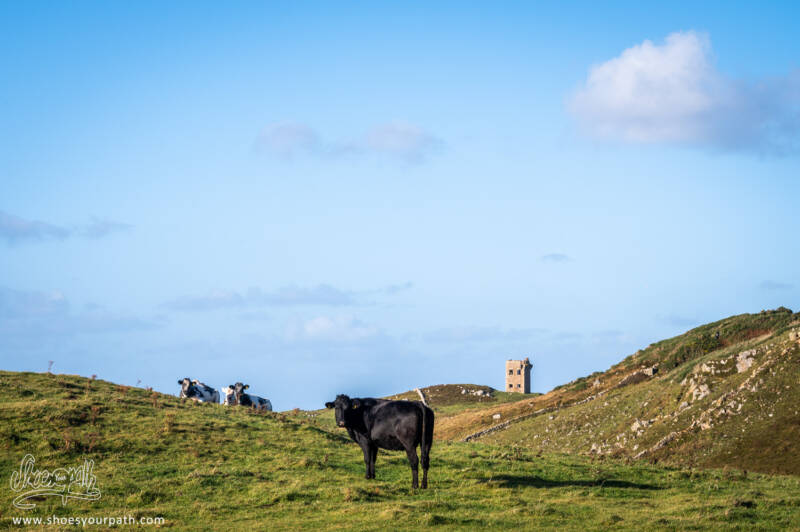 Sur la route dans le nord d'Ardara - Donegal, Irlande