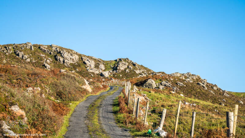 Une de ces fameuses routes limitées à 80km/h... - Donegal, Irlande